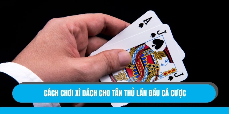 Cách chơi xì dách cho tân thủ lần đầu cá cược