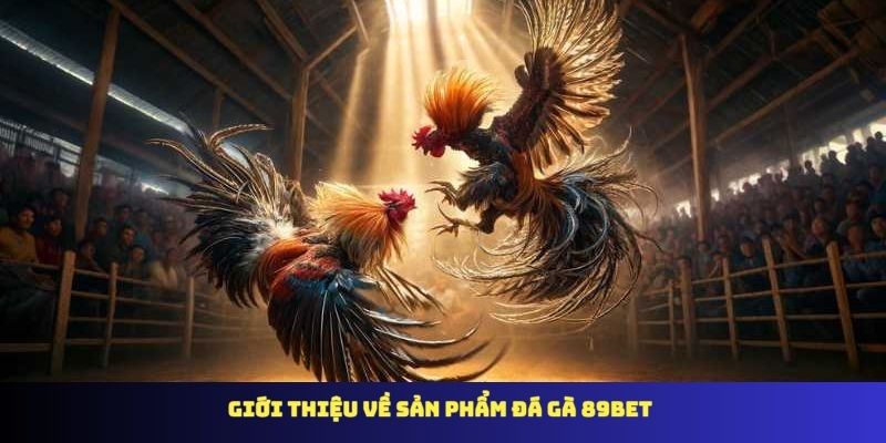Giới thiệu về sản phẩm đá gà 89BET
